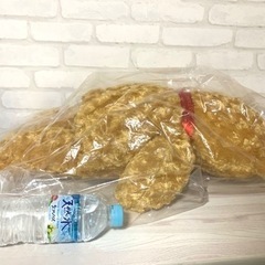 [値下げ!] クラウンベアー ぬいぐるみ BIGの画像