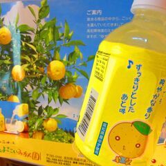 【価格下げました!!】 ゆずドリンク　１３本