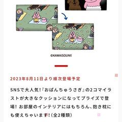 決まりました　未使用　おぱんちゅうさぎ　2コマBIGクッション