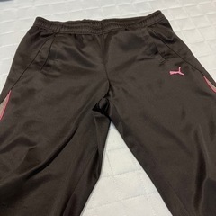 部活修学旅行に！美品プーマレディースジャージ上下セットLからLLサイズの画像