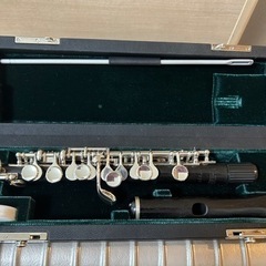 P.Hamming フィリップ ハンミッヒ650/2 選定品