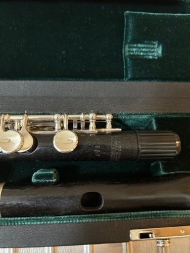 P.Hamming フィリップ ハンミッヒ650/2 選定品
