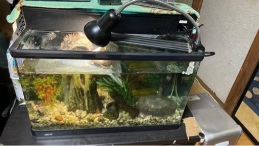 アクリル水槽