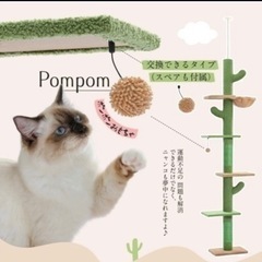 PETEPELA(ぺテぺラ) サボテン風キャットタワーの画像