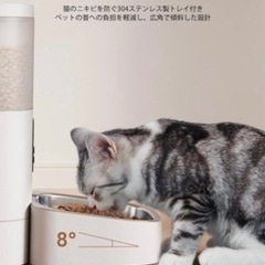 PETLIBRO 自動給餌器 猫&中小型犬用 ホワイトの画像