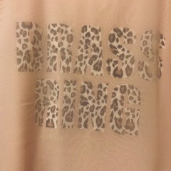 シースルー ロゴTシャツ Lサイズの画像