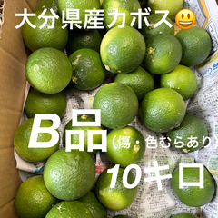 大分県杵築市産　カボスB品10キロ