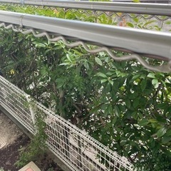 【23】ステンレス物干し竿　一本の画像