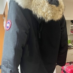 カナダグース
