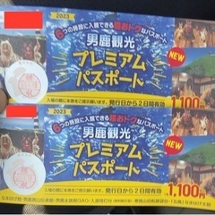 ８月２０日男鹿観光プレミアムパスポート２枚