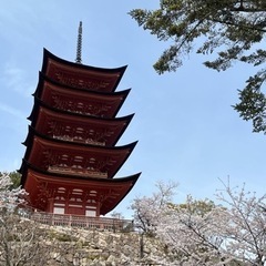 一緒に趣味見つけませんかー？👀✨ - 友達