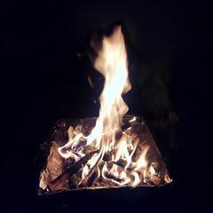 ソログルキャン