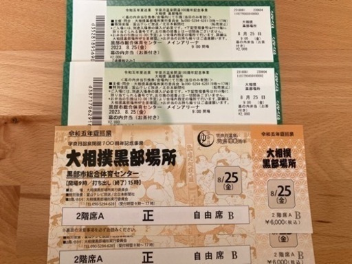 大相撲黒部場所 2階席Aペア（弁当込）