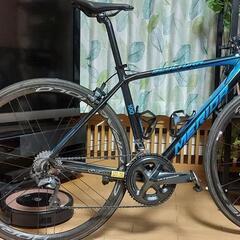 メリダ スクルトゥーラ100 