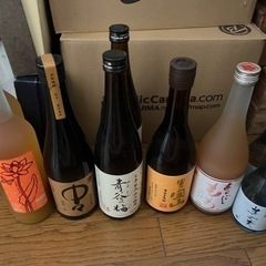 お酒9本セット