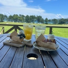 一緒にカフェ巡りしませんか？