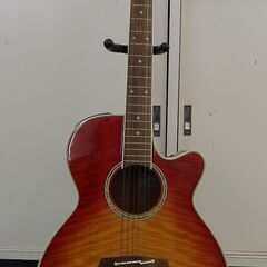 Takamine タカミネ アコースティックエレキギター PTU...