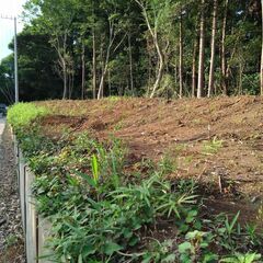残土・黒土・無料で差し上げます！千葉県印西市～の画像