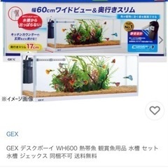 新品未使用　デスクボーイ600  水槽セットの画像