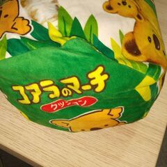 綺麗です！可愛いです！の画像