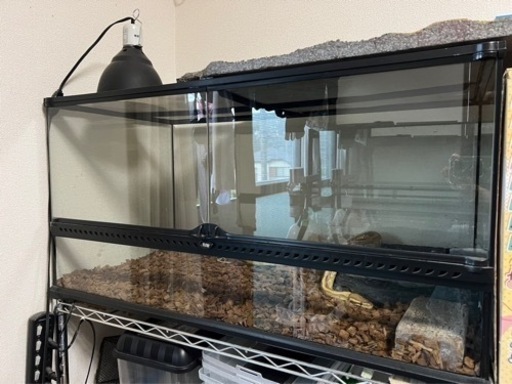 商談中　エキゾテラ　90 45