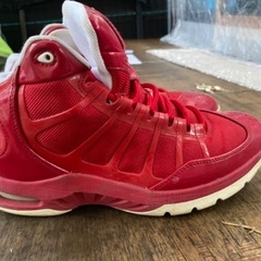 Air Jordanの画像