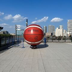 バスケ日本代表をパブリックビューイングで一緒に応援しませんか？の画像