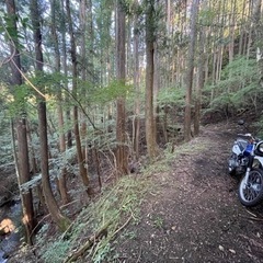 【林道@伊豆】初心者で林道いきませんか？