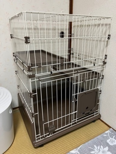 猫　ゲージ