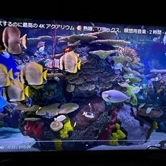 【今週廃棄】 50型 4K対応ハイビジョンLED液晶テレビ HJ...