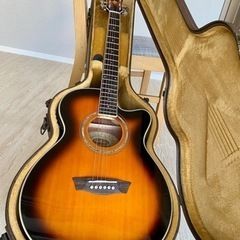 Washburn/ワッシュバーン「エレアコギター」EA14 AT...