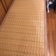 ユニット畳　大　小の画像