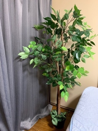 さらにお値下げ！フェイクグリーン　観葉植物