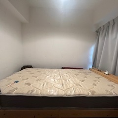 EN101Pの画像