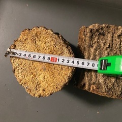 100円〜　産卵木　ホダ木　クワガタ　産卵床　クヌギ・ナラ