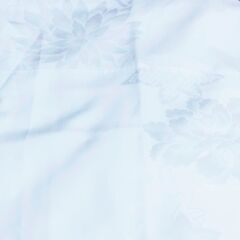 【5点まとめて】長襦袢　中古