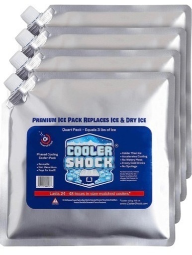COOLER SHOCK クーラーショック Lサイズ3個セット 保冷剤/氷点下/アイスパック/アウトドア/キャンプ/バーベキュー/
