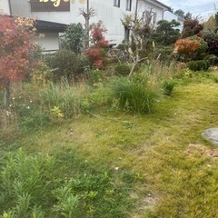 草刈り、刈込み、承ります✂️