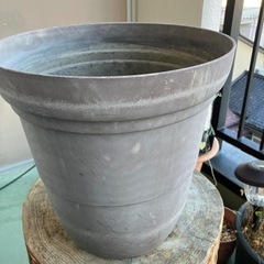 植木鉢　無料に致します。の画像