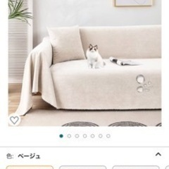 無料で撮りにきてください