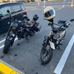 値下げしました⭕️レブル250 sエディションの画像