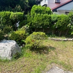 庭木　庭石　引き取り可能な方の画像