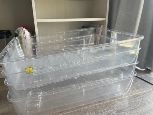 ルーミィ60ベーシック