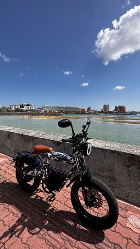 フル電動バイク原付二種（自転車）組み立て登録済み COSWHEEL MIRAI