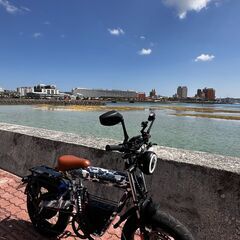フル電動バイク原付二種（自転車）組み立て登録済み COSWHEE...
