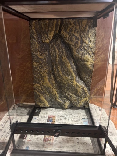 グラステラリウム3045 爬虫類 ケージ セット