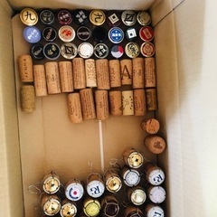日本酒などのキャップ、空き瓶の画像
