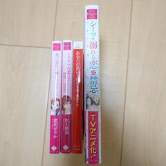 TL小説 4冊セットの画像