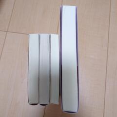 TL小説 4冊セットの画像