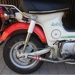 ホンダ　シャリー初期型🛵の画像